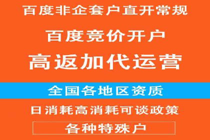 竞价推广策略：成功企业的案例分享